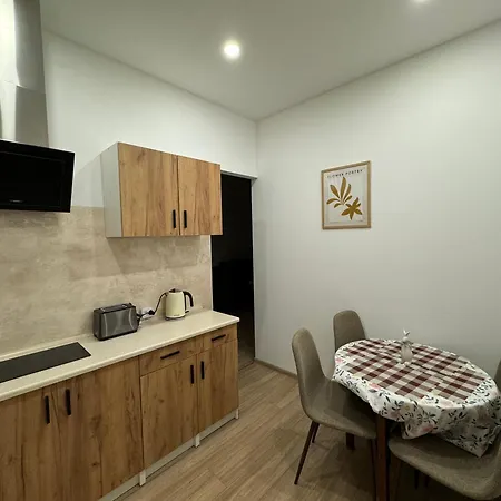 Apartmentsbymatyrafa-Vi Tarnowskie Gory Exterior photo